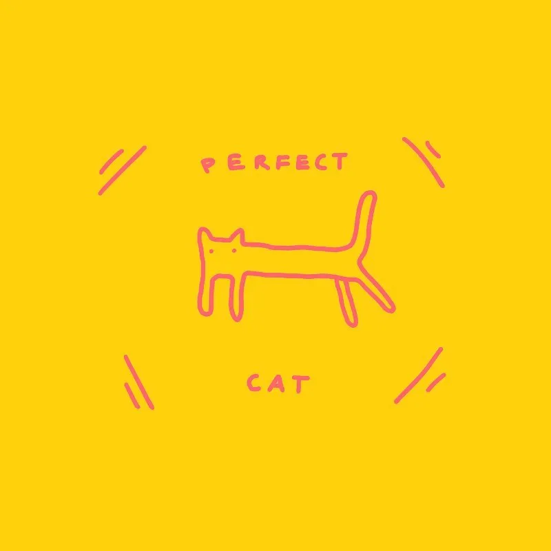 Perfect cat